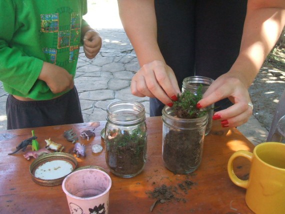 Here we are adding little plants to the jars.